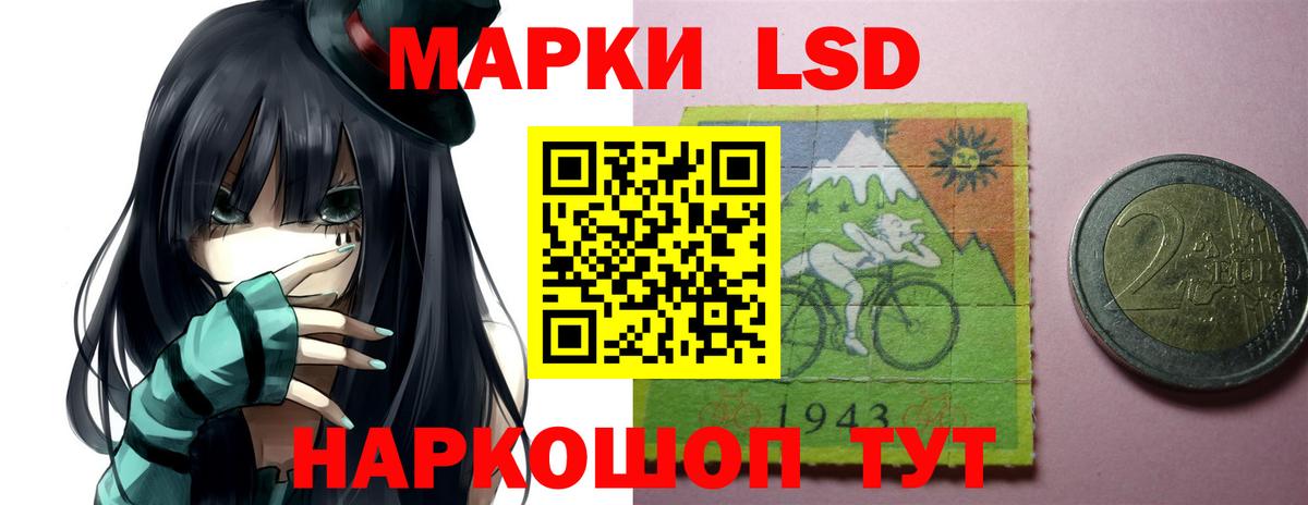 Галлюциногенные грибы Нерюнгри