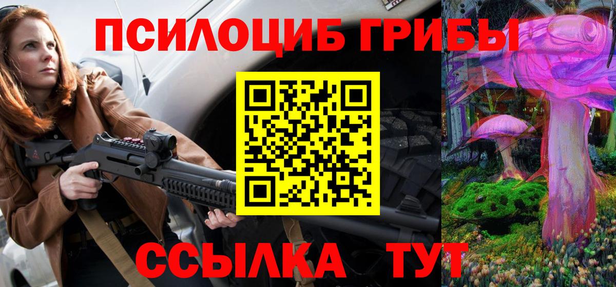 Галлюциногенные грибы Psilocybine cubensis  Вход с VPN  Нерюнгри 